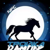 Орден Дамплиеров