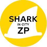 SHARK IN CITY | ЗАПОРОЖЬЕ