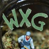 Вырастить траву. Обсуждения WXG