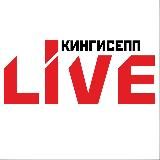 Кингисепп | Live