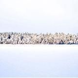 лёша мьюзик пати 🎸