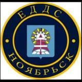 EDDS_NSK