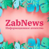 Zabnews-комментатор