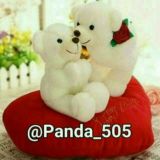 P_A_N_D_A_🐼❄️🌨👈