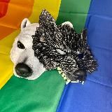 The wolf the bear 🐺 🐻