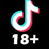 TikTok Nudes 18+