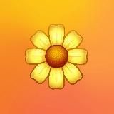 CDL - DIE GOLDENE LÖSUNG