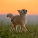 May All Beings Be Happy ✨💕