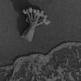 ANARXETIKA | Сохры | Музыка