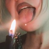 Псы сторожат. Коты наблюдают. Chat
