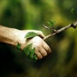 КЕЛИҢ БИРГЕ ТЕРЕК ЕГЕЙИК 🌱🌳