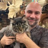 Здесь Баженов чат