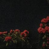 𝐂𝐯𝐞𝐥𝐞𝐯𝐬𝐞🇺🇿