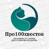 PROстранство ПРО100ХВОСТОВ