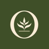 Анастасия Бондарева