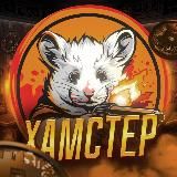 Хамстер Комбат