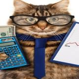 БухгалтерПРО⚖️