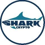 Crypto SHARK 🦈