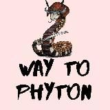 Way to Python