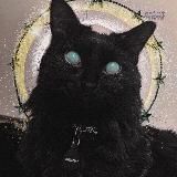 saint meow