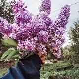 Обогащай душу