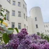 Школа 1284. ЦАО