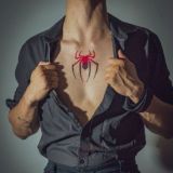 SPIDY FOOTBALL ANALYST