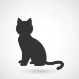 黑猫软件破解基地