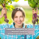 Садоводы, дачники, частники | Чат