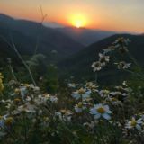 مدينة العلم