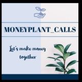 Money Plant Calls 🌱 📊