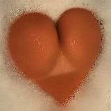 𝙰𝚍𝚘𝚗𝚒𝚝𝚘𝚕𝚘𝚐𝚢