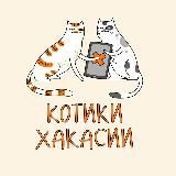 Котики Хакасии :3