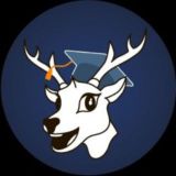 تعلم الإنجليزية مع إبرهيم عادل Zamerican English free