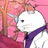 NFT | meta | Crypto | CatNews