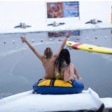 ICE swimming penguin UA