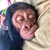 Опросиики✍️