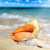 Anapa.News | Главные новости Анапы