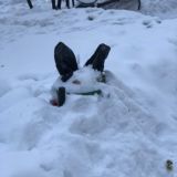 Универсально орать сюда
