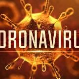 Корона Вирус ( Corona Virus )