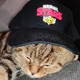 Пупер упер белт(kargust)🧙🏿‍♂️