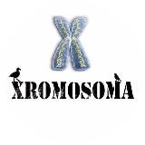 XROMOSOMA 2.0