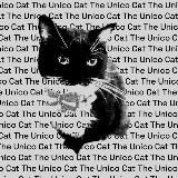 The Unico Cat!