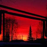 Pengvinchiki | Чатик общенияヅ︎