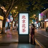 北京美女精选榜单