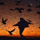 *.*.*Jinnivoymkoo*.*.*