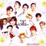 ⋆.ೃ࿔:･ exoplanet ･:࿔ೃ.⋆