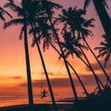 💸Инвест & Travel 🤑