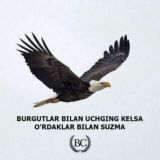 ЭКСПРЕСС - БИЗНЕС