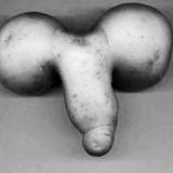 Хуй долбоёба